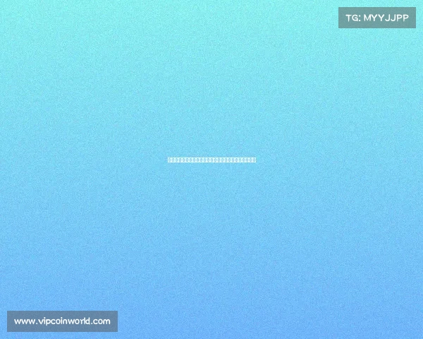 阿莫林在球场上的心酸历程：从高光到低谷的奋斗与坚持